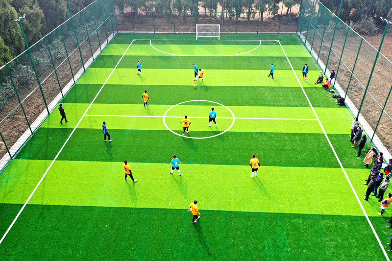 微信图片_20200114164521_副本