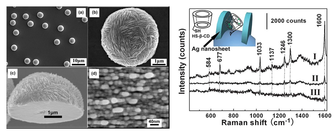 固体所在对多氯联苯拉曼信号敏感的纳米结构研