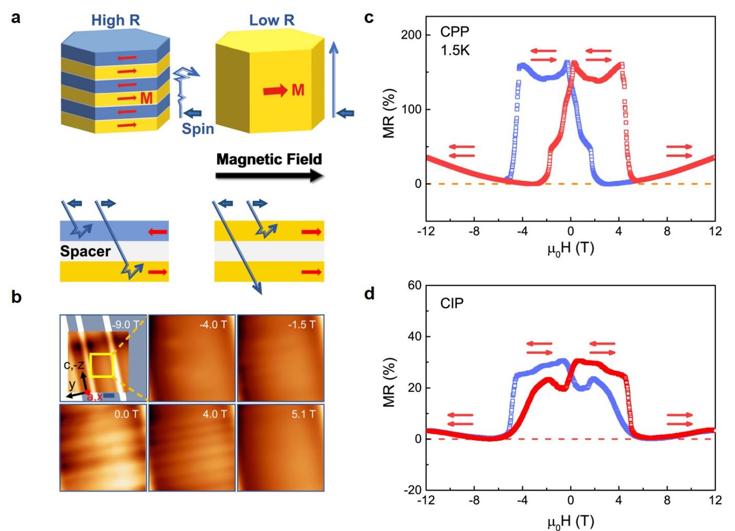 科学岛团队提出基于笼目量子磁体的自旋阀新机制